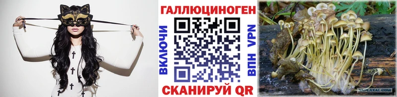 купить наркотик  Нижний Новгород  Псилоцибиновые грибы Psilocybe 